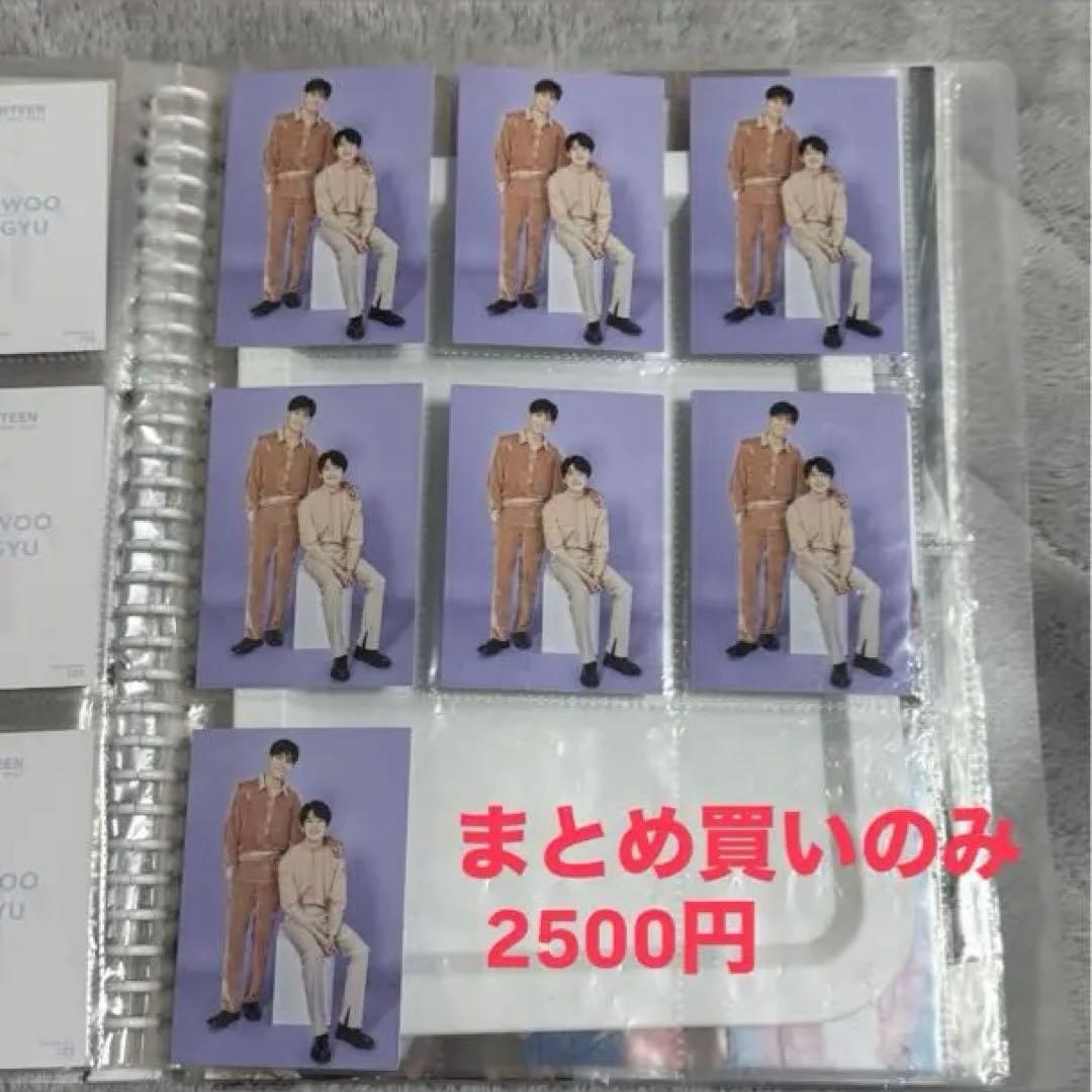SEVENTEEN ウォヌ　トレカ　まとめ売り