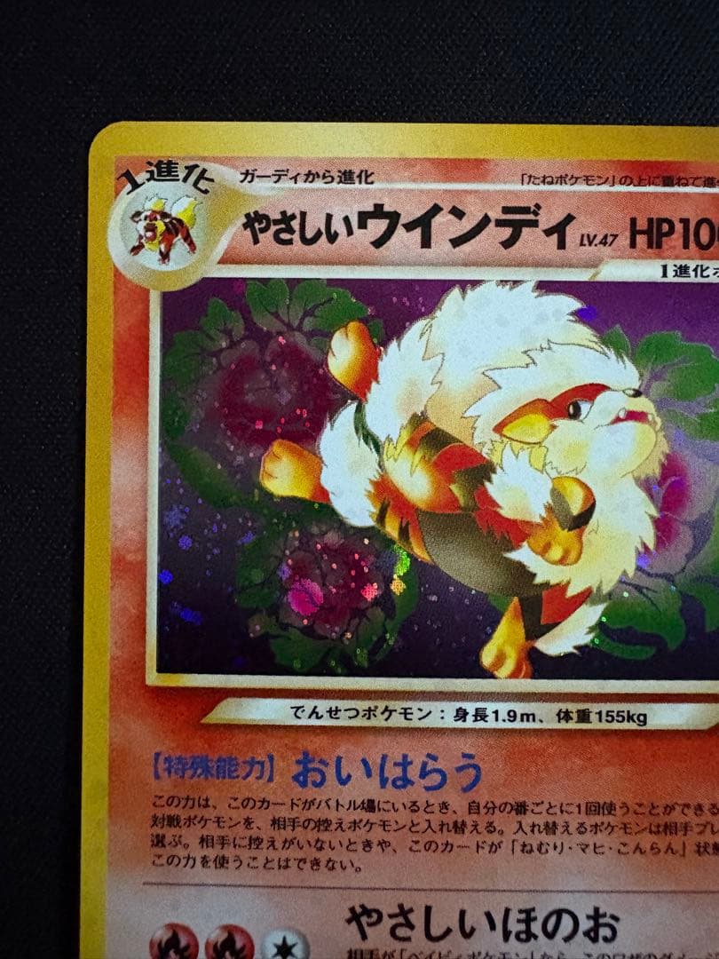 やさしいウインディ ★ 拡張パック第4弾 闇、そして光へ…