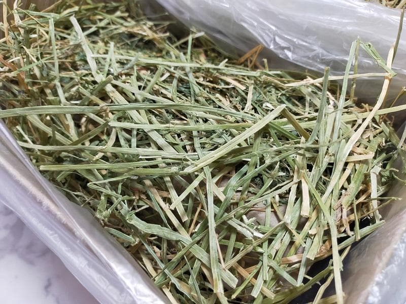 【10/20まで】 カナダ産 チモシー 30kg スーパープレミアム １番刈り