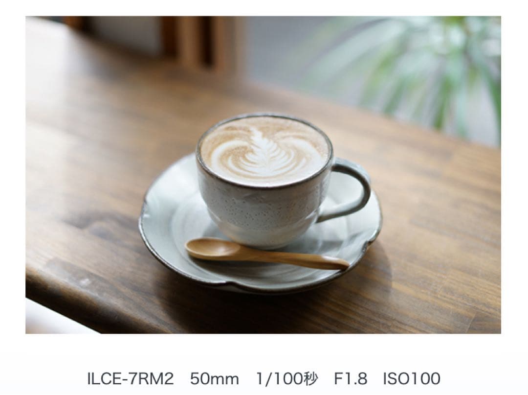 Sony 50mm F1.8 SEL50F18F 単焦点レンズ　※プロテクター付