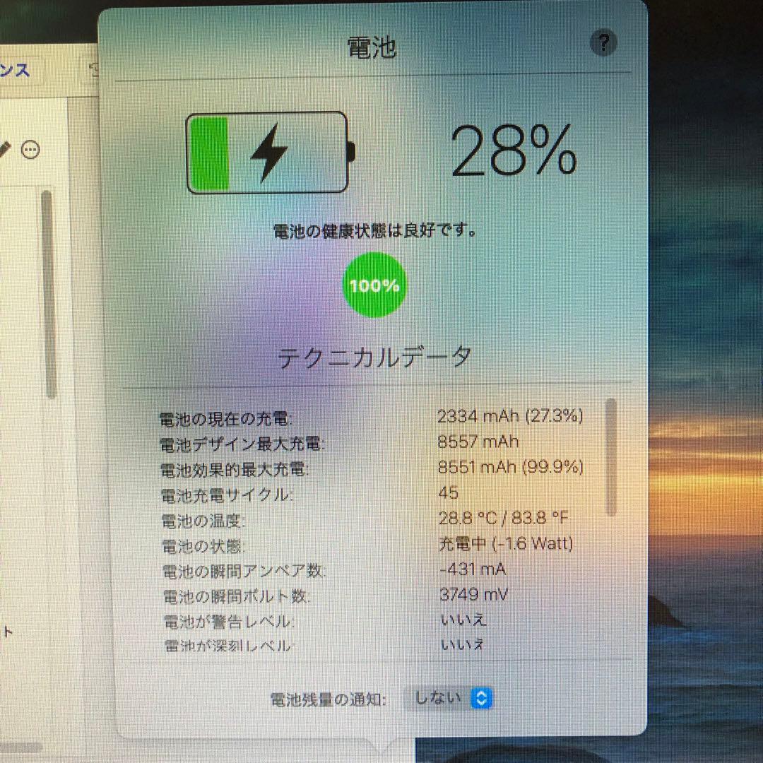 iPad 第9世代 64GB wifiモデル　管理番号：246