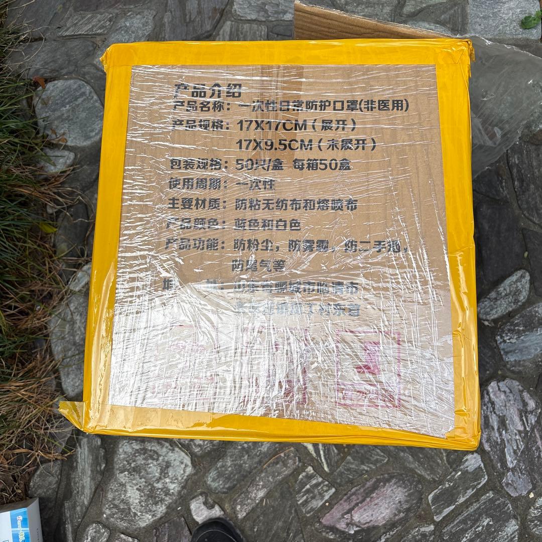 使い捨てマスク 50枚入り 17x9.5cm 清掃用　50箱　2500枚