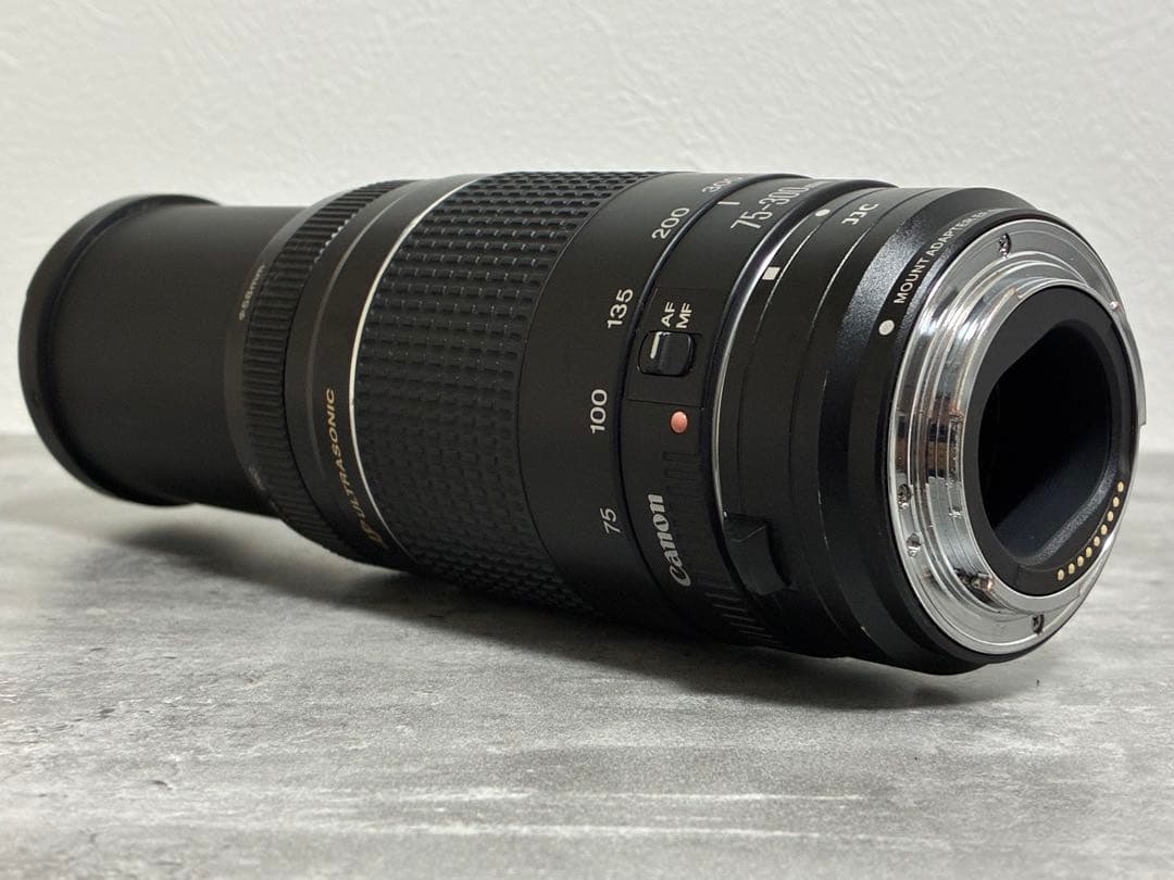 ⭐️完動⭐️Canon EF 75-300 III & EF-EOS M アダプター