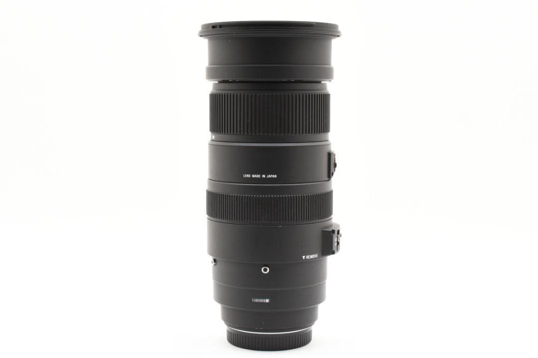 キヤノン用超望遠⭐️SIGMA 50-500mm DG OS HSM ⭐️大迫力