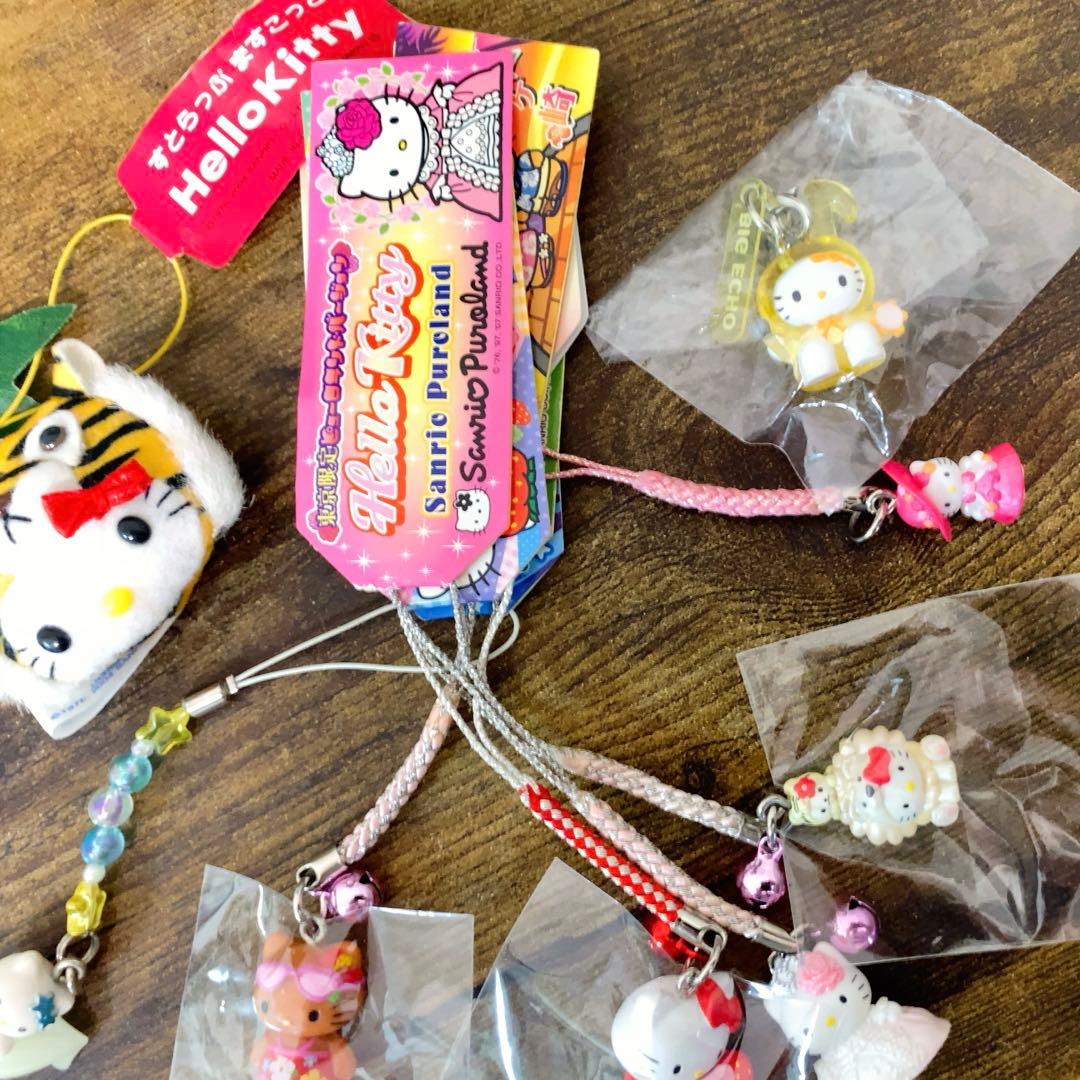 【激レア】ご当地キティ　ピューロランド　根付　非売品　ビッグエコー等まとめ売り