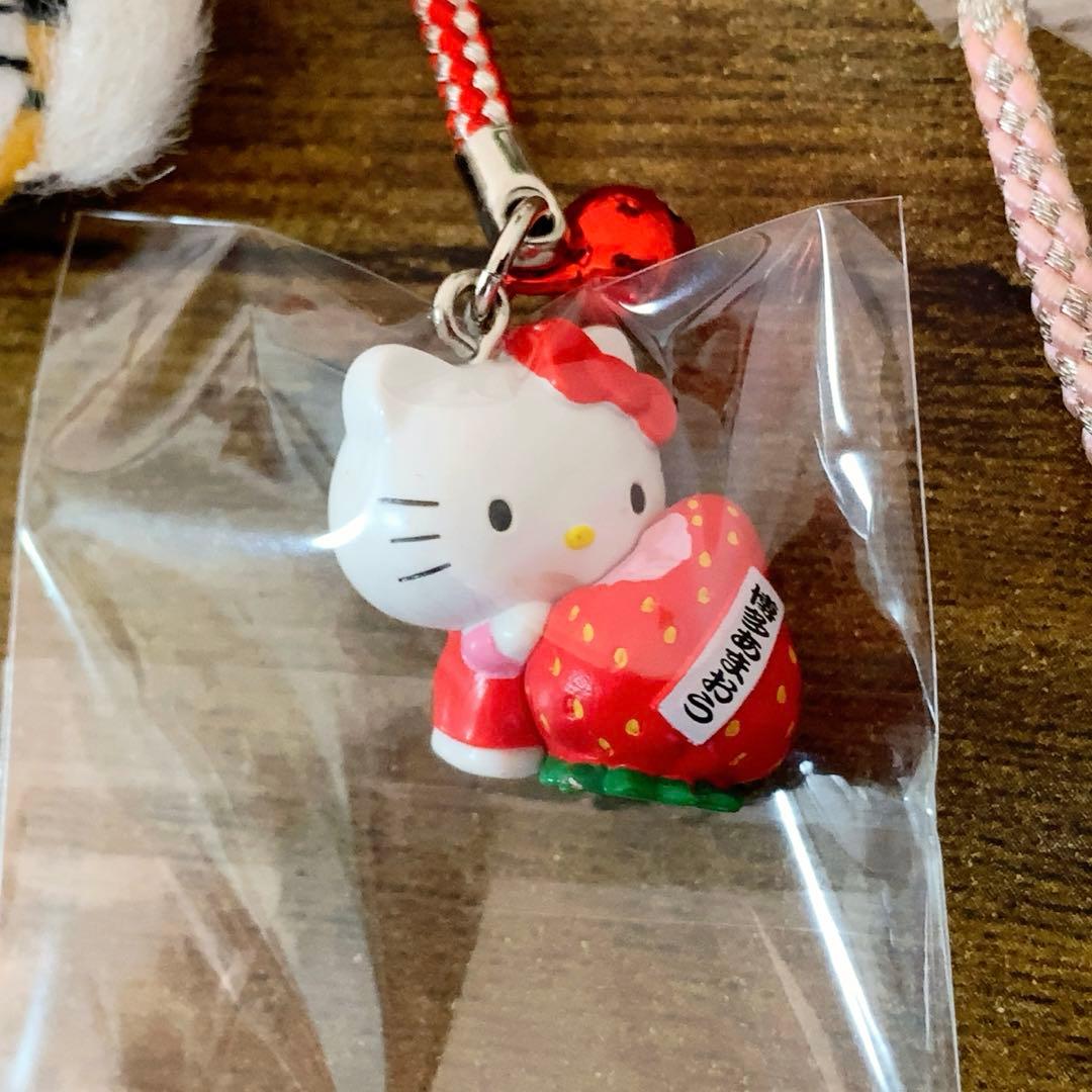 【激レア】ご当地キティ　ピューロランド　根付　非売品　ビッグエコー等まとめ売り