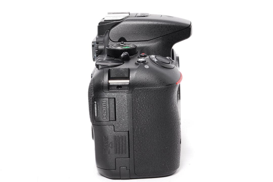 ◆すぐ使える◆Nikon D5500◆一眼レフカメラ◆WiFiで転送◆おまけ多数