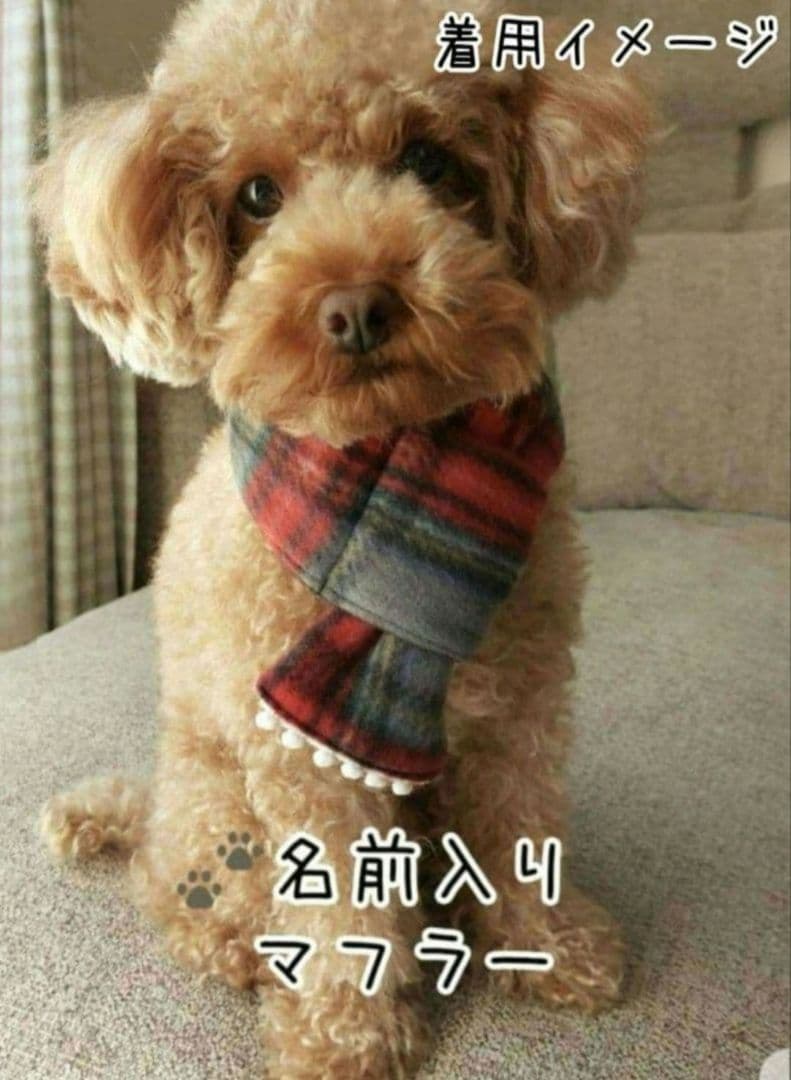 マフラー 犬用