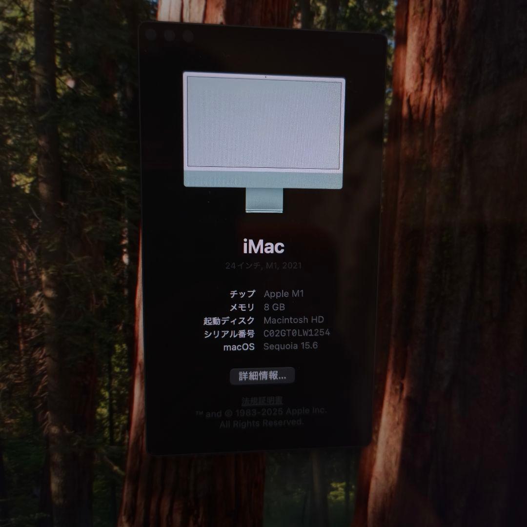 Apple iMac 24インチ M1 2021 8GB 256GB グリーン