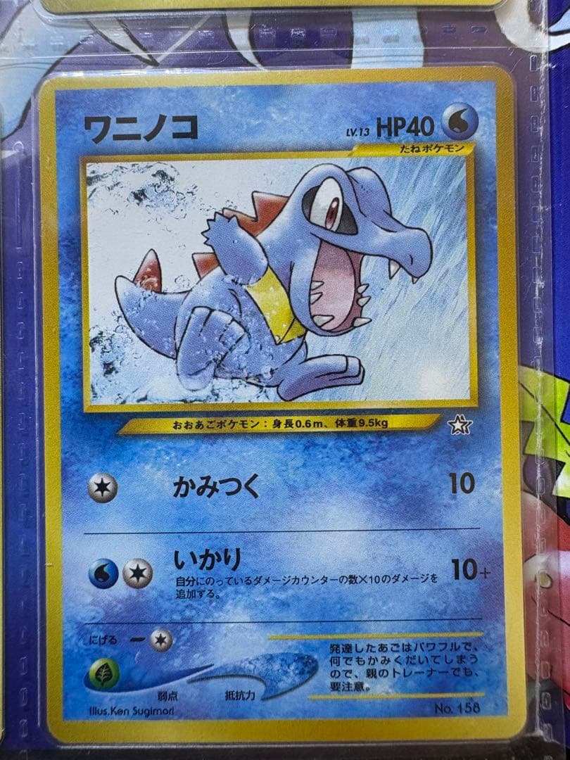 ポケモンカード ネオ プレミアムファイル 金銀 新世界へ…