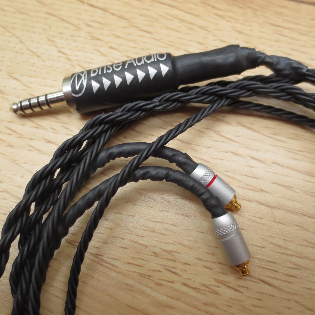 イヤホン SENNHEISER IE900 +BriseAudio ASUHA RH2+