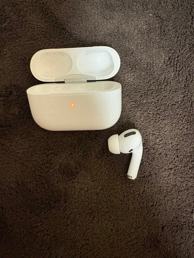 エアーポッズプロ　右耳のみR片耳　Apple AirPods Pro ケース付き