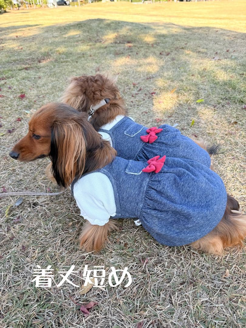 よっしーページです　ダックスフンド　犬服　わんこ服　タンクトップ