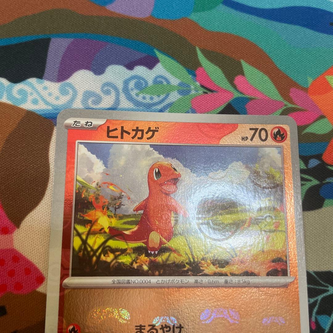 ヒトカゲ マスターボールミラー　ヒトカゲ フシギダネ ポケモンGO プロモ