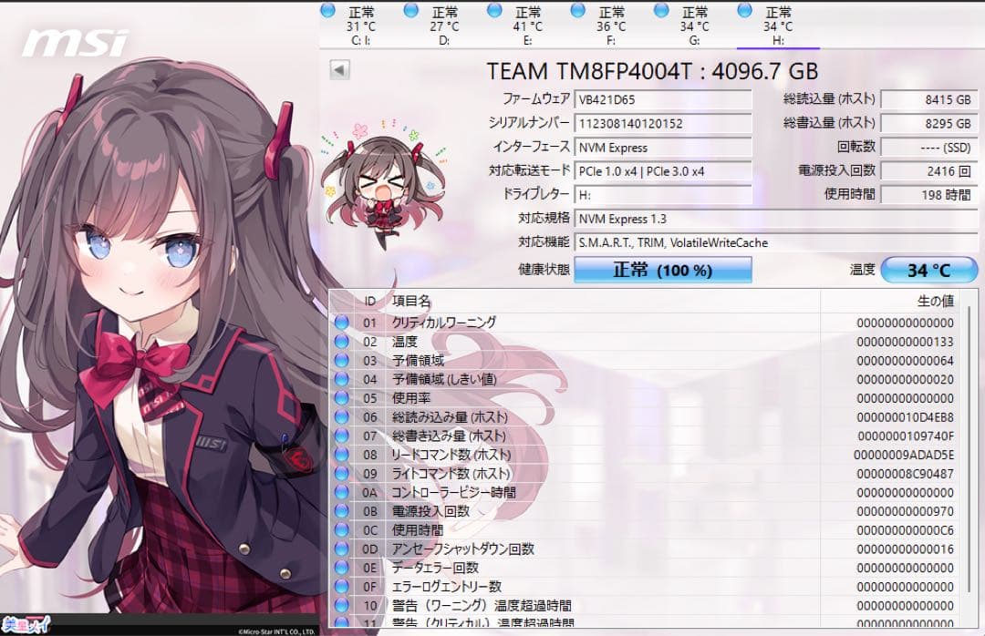 内蔵型SSD TEAMGROUP TM8FP4004T0C101 4TB SSD