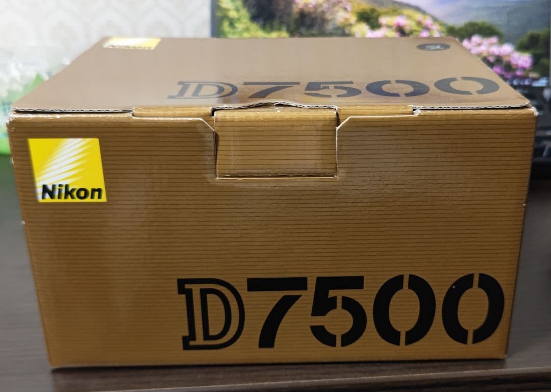 Nikon D7500 ユニット交換済み ショット数約1000回　 レンズ2本付