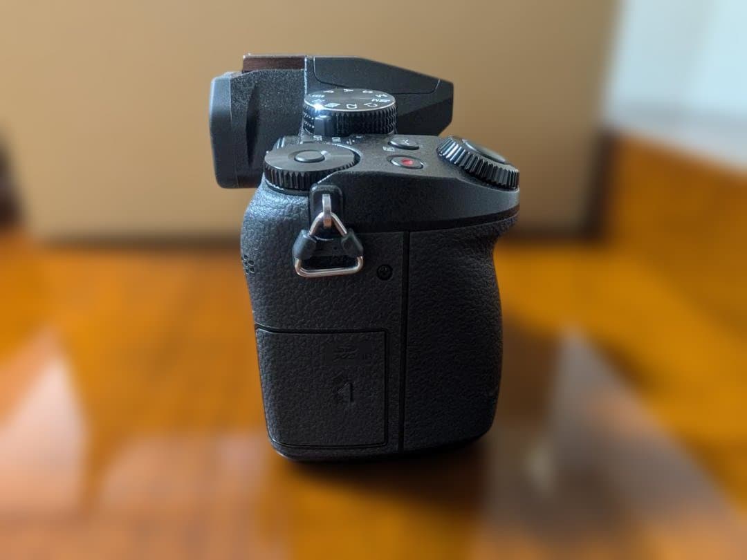 LUMIX GX8 ボディ 美品 シャッター少 予備バッテリー付