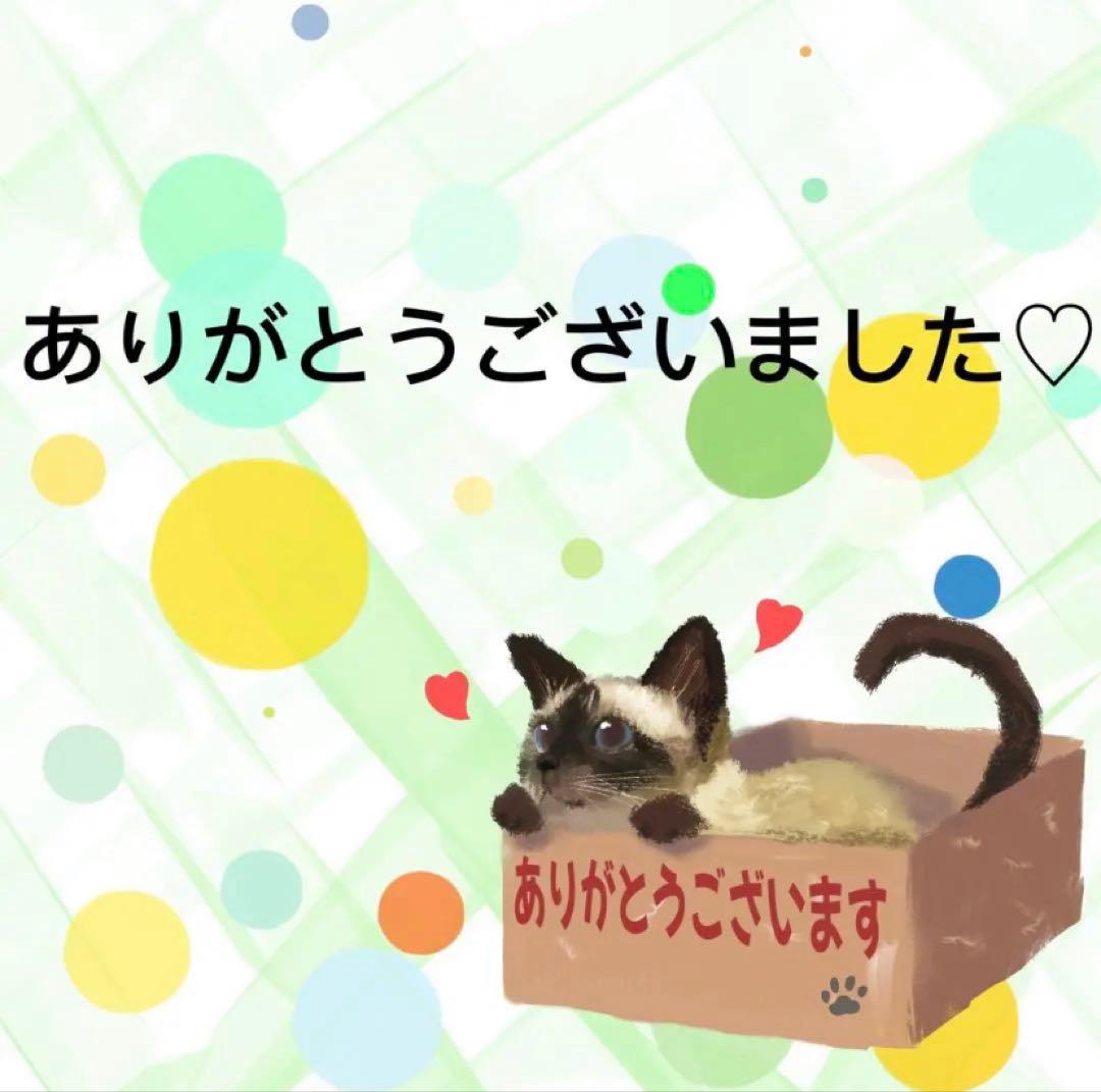 【9610】海外マステ　5m巻合成紙カッティング　マスキングテープ　猫　カラフル