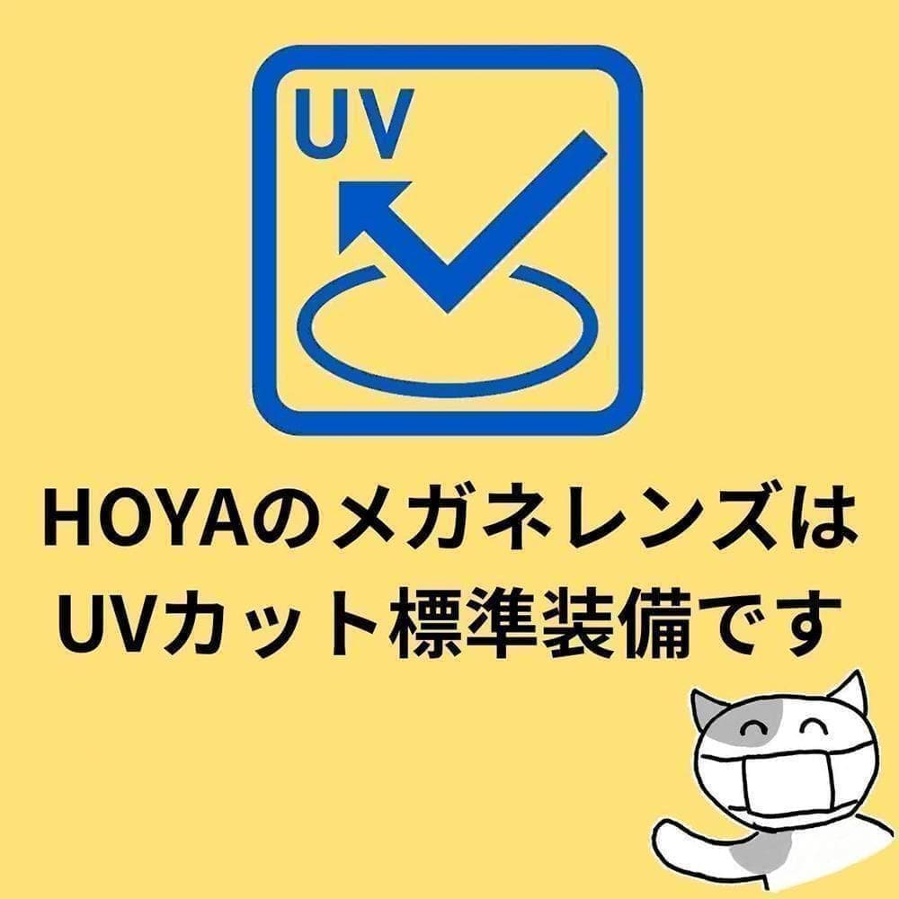 遠近両用メガネ 老眼 +1.00 鯖江メガネ ウェイファラー AK101 新品