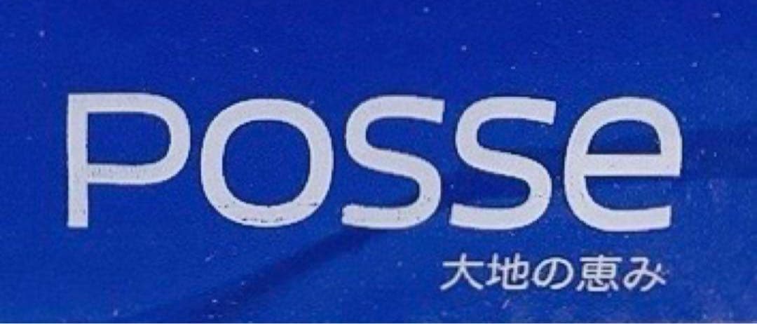 【残り5枚】テラセンサ コアバランス posse ドイツ製 正規品