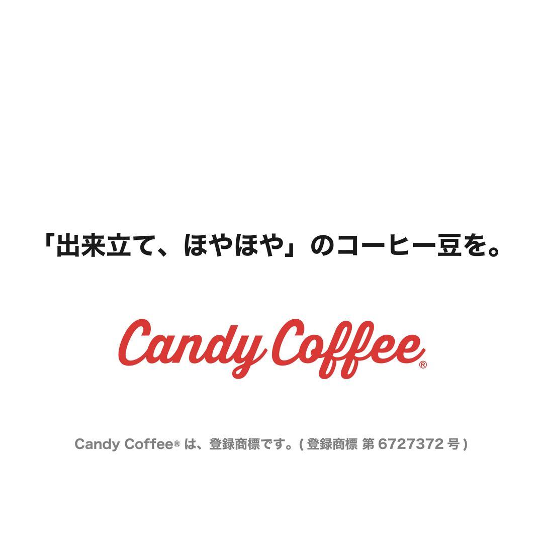 最高等級 Mandheling  マンデリン ロイヤル 焙煎コーヒー豆