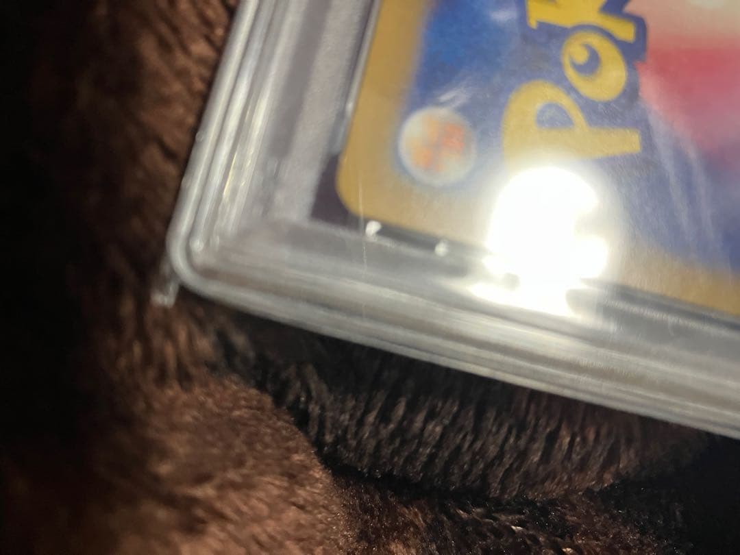 psa10 いたずら好きのピチュー P