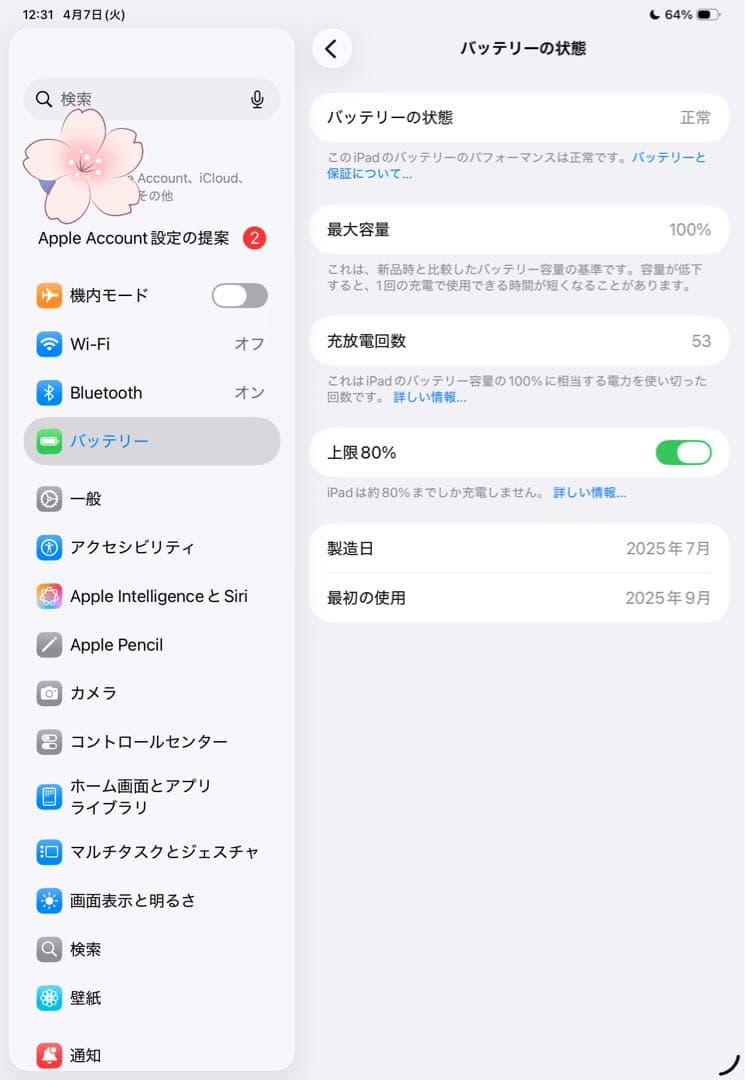 Apple 11インチ iPad pro （M4） Wi-Fiモデル ケース付き