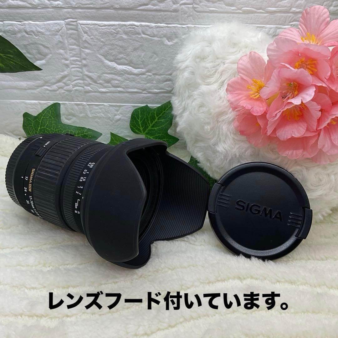 美品 SIGMA DC 17-70mm 1:2.8-4.5 Canonキャノン用
