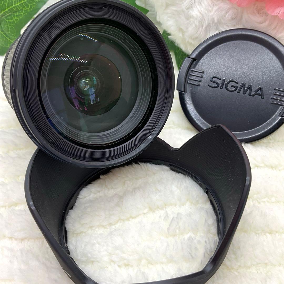 美品 SIGMA DC 17-70mm 1:2.8-4.5 Canonキャノン用