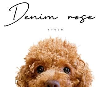 【DENIM ROSE】完売品✿小型犬用プードルワッペンパーカー ベージュM