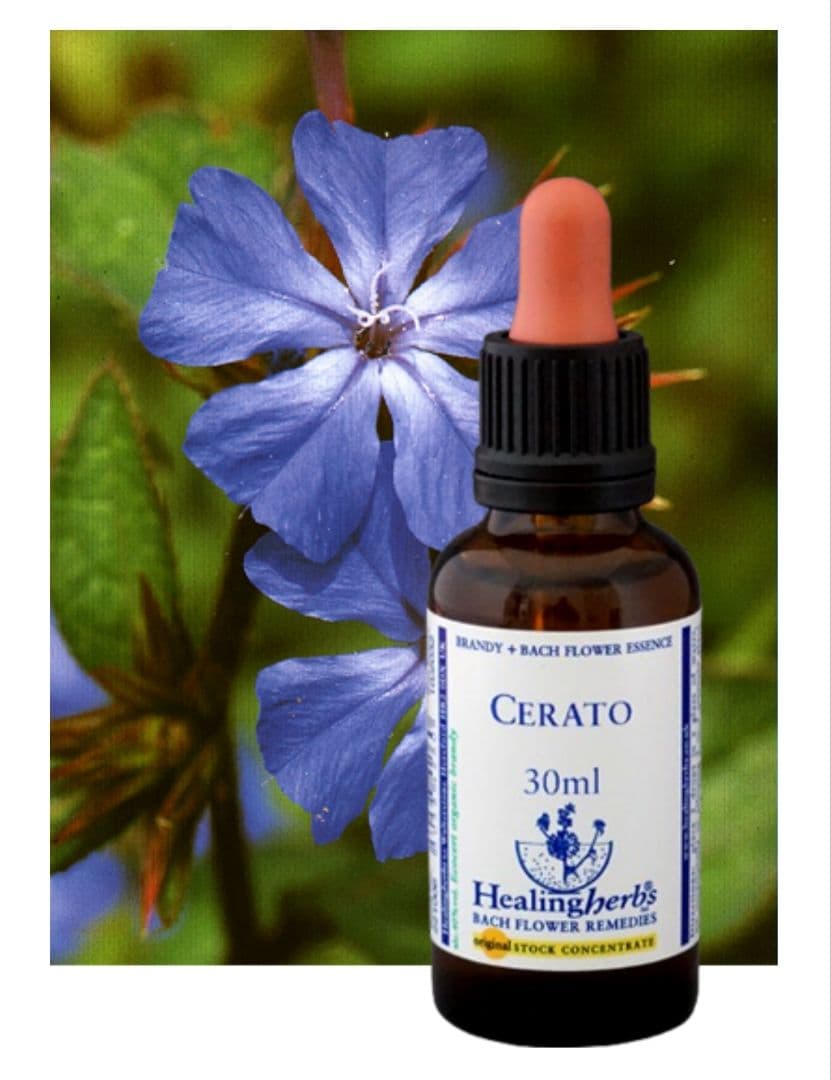 メルテンページ■30ml×5本■ヒーリングハーブス社フラワーエッセンス♪彡
