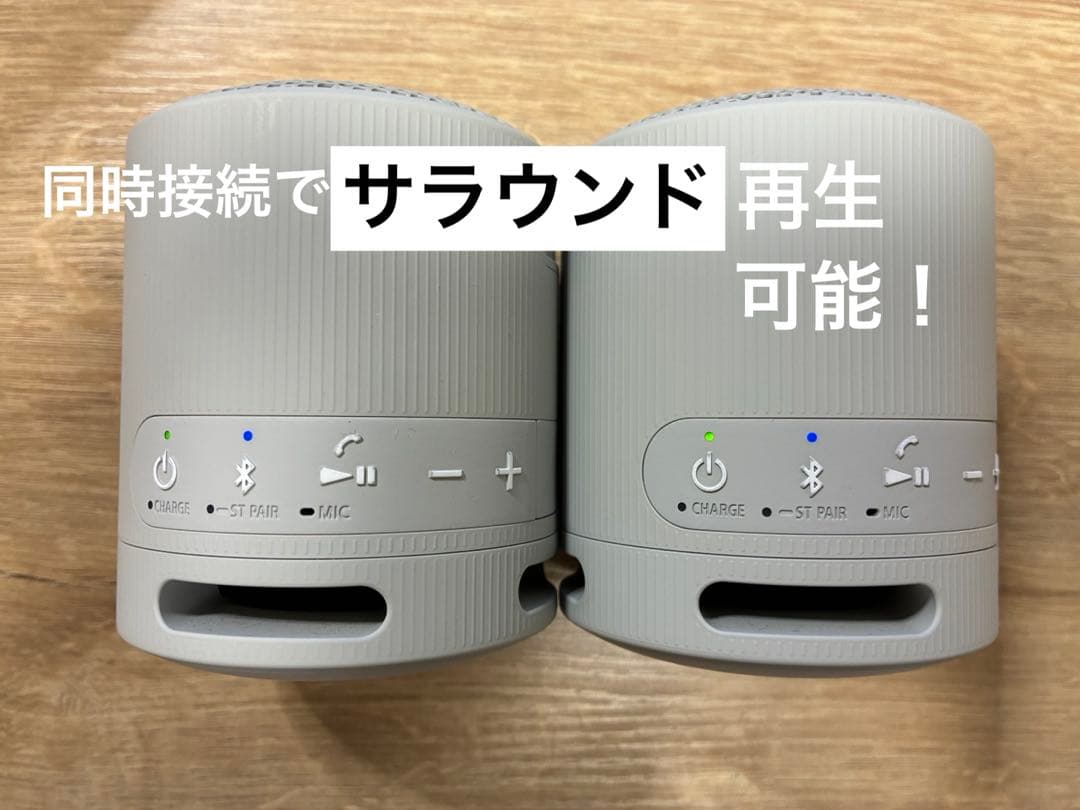 SONY SRS-XB100 2個セット
