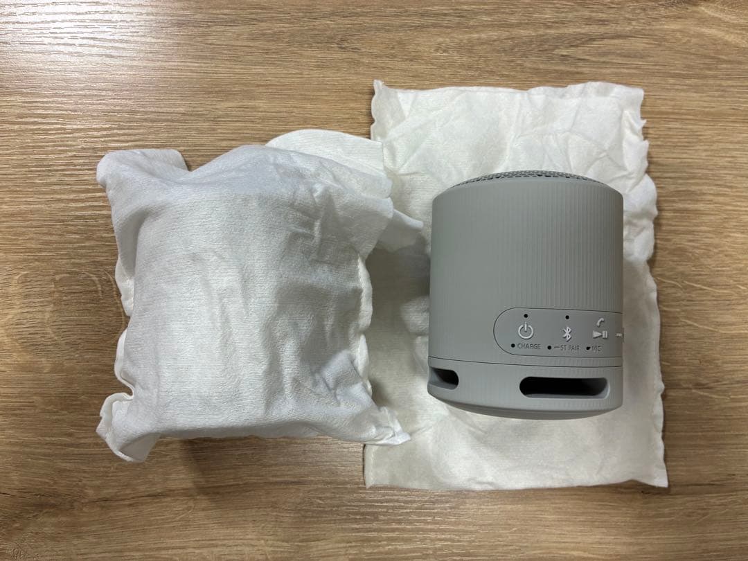 SONY SRS-XB100 2個セット