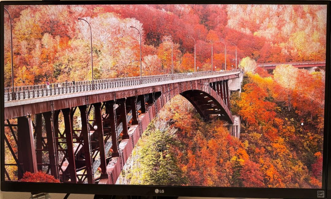 LG 27UK650 27インチ 4K