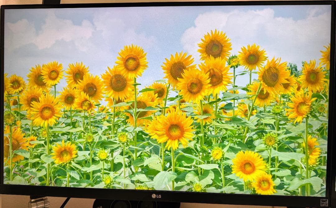 LG 27UK650 27インチ 4K