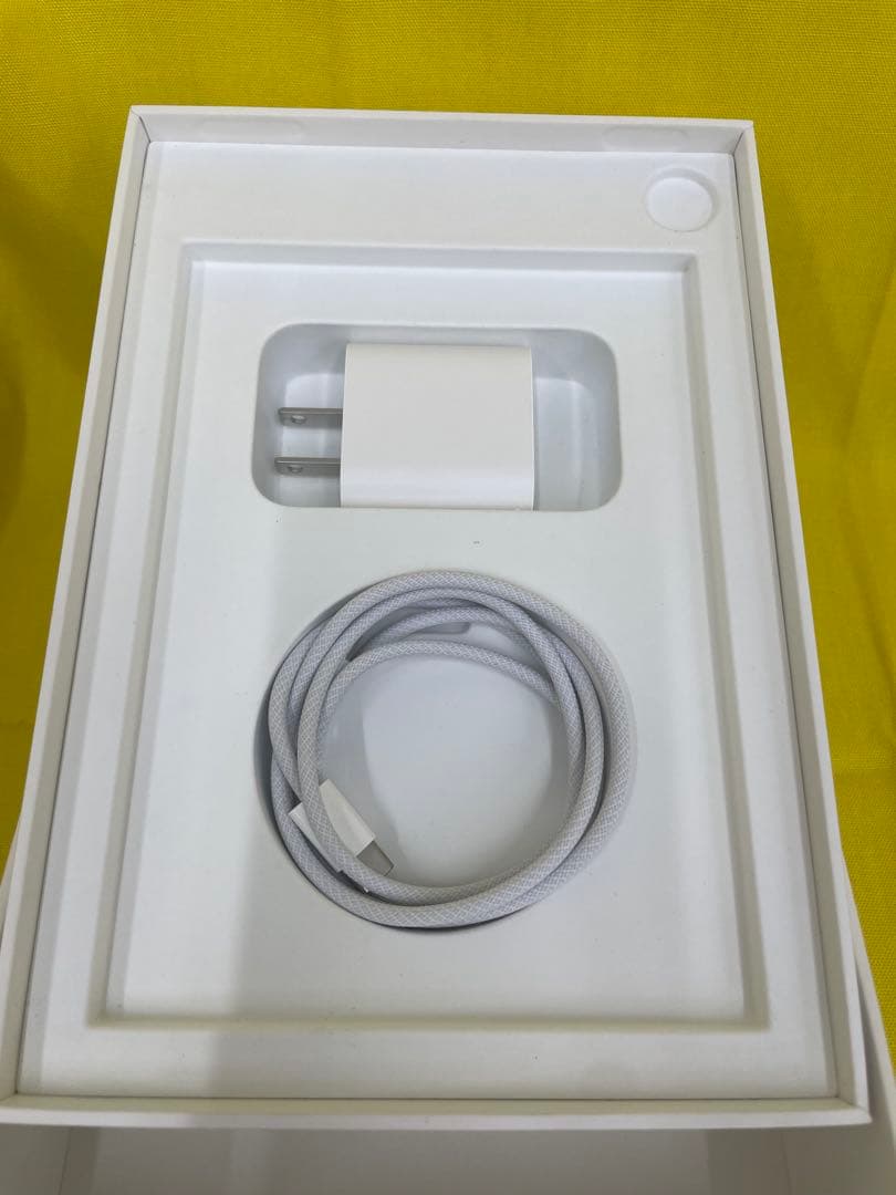 【E】iPad mini 第6世代 256GB ネットワーク【ー】