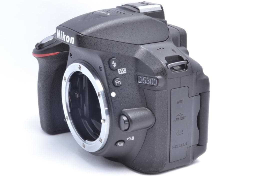 美品✨Nikon D5300✨高性能レンズ✨Wi-Fi搭載✨初心者おすすめ✨
