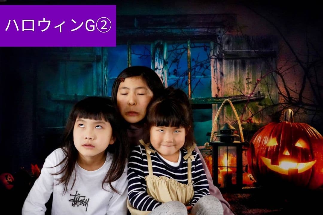 背景布【ハロウィンP】サンプル　ペット、トリミング撮影用ブース　タペストリー