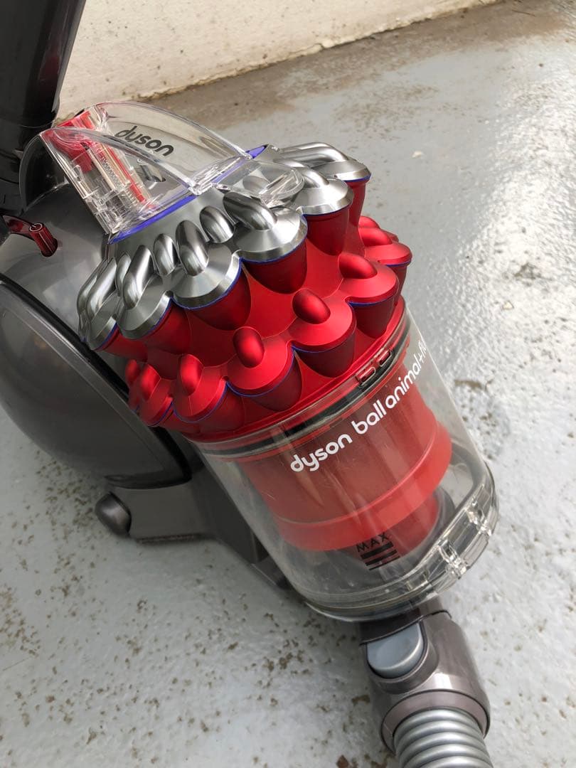 Dyson CY25 AFダイソンボールアニマルフラフィ【掃除機】