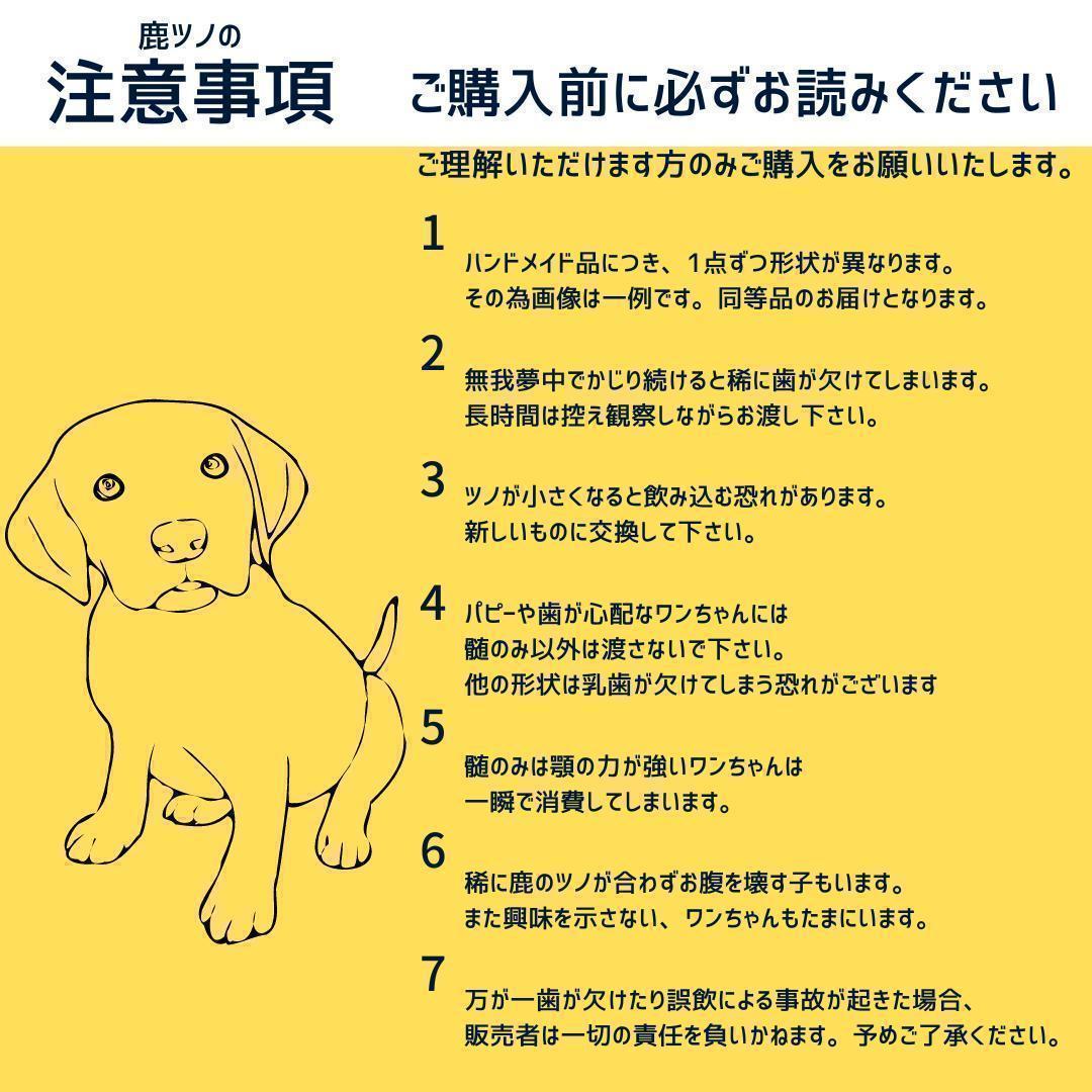 【お試し3本セット】　大型犬用　四つ割り＆半割り＆一本物　犬のおもちゃ　鹿の角