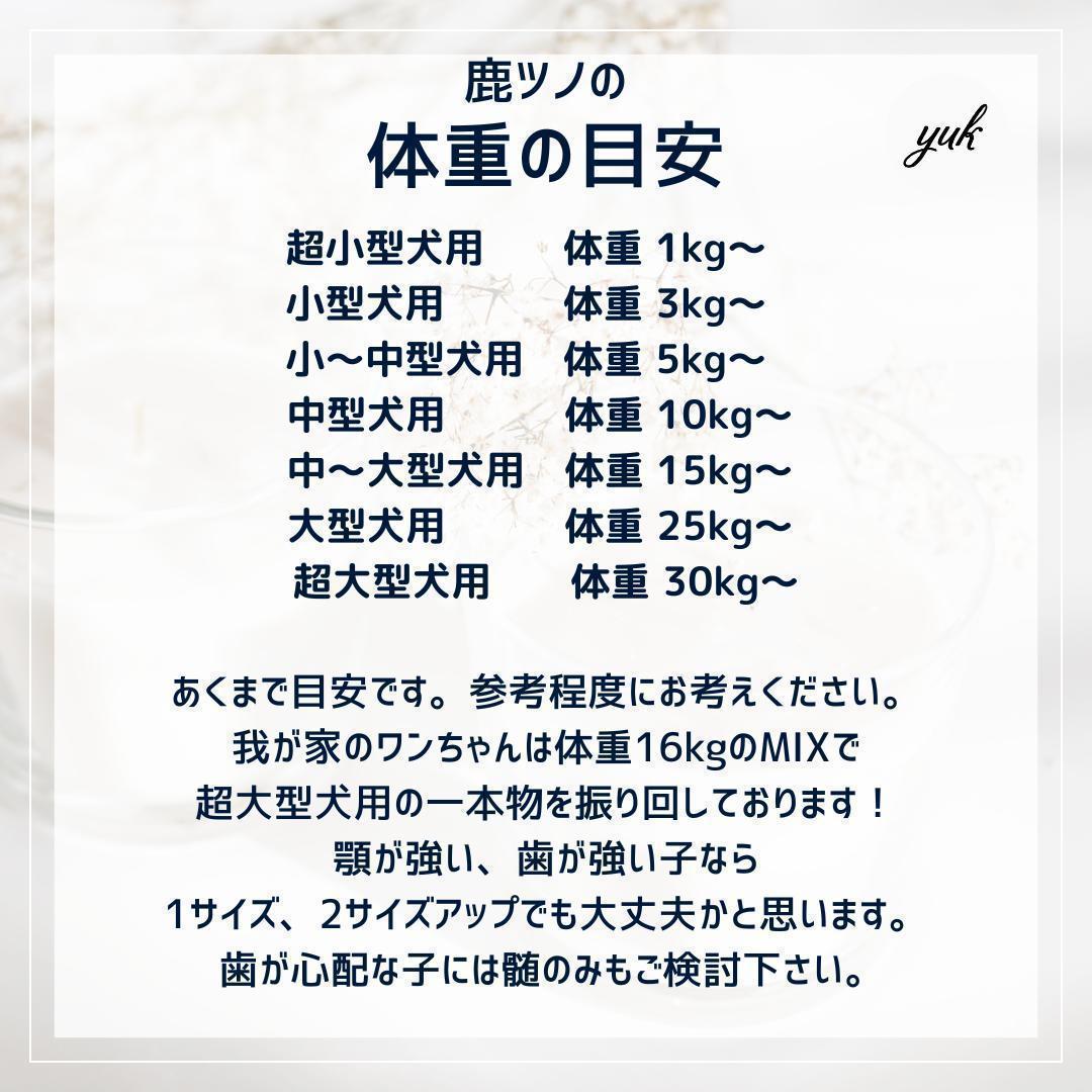 【お試し3本セット】　大型犬用　四つ割り＆半割り＆一本物　犬のおもちゃ　鹿の角