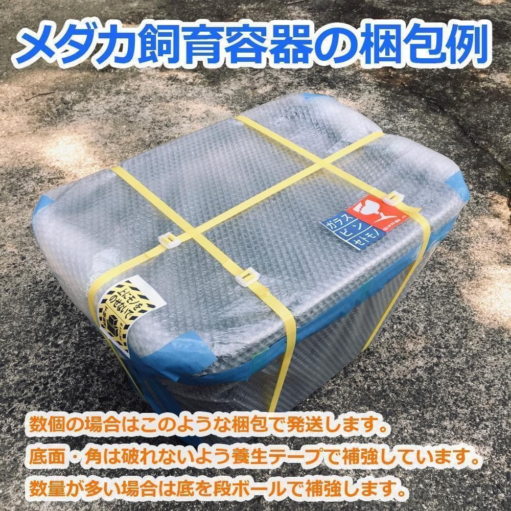 メダカ飼育ケース 56㍑x2個 白黒灰あり オーバーフロー 金魚飼育容器 睡蓮