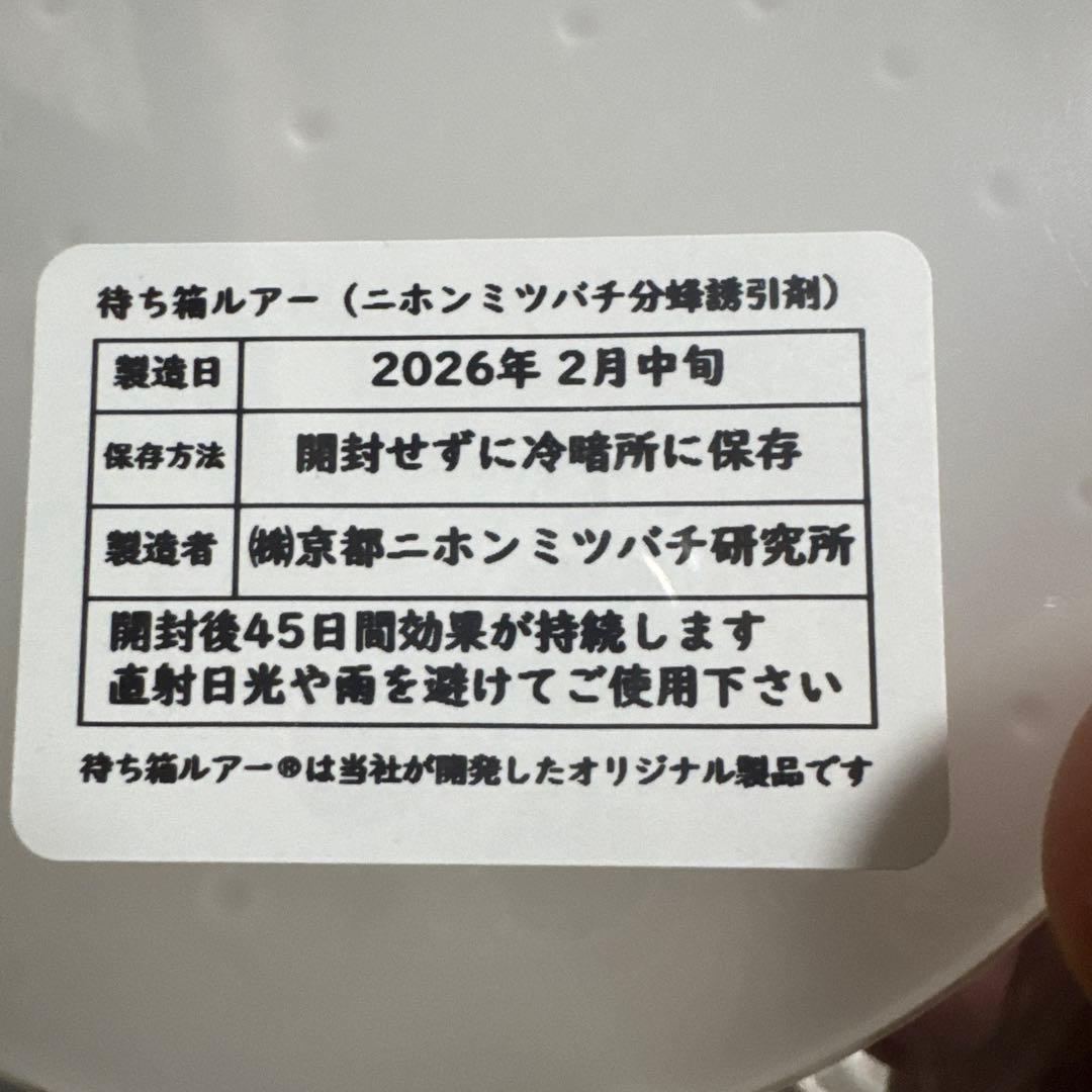 待ち箱ルアー　　3個セット