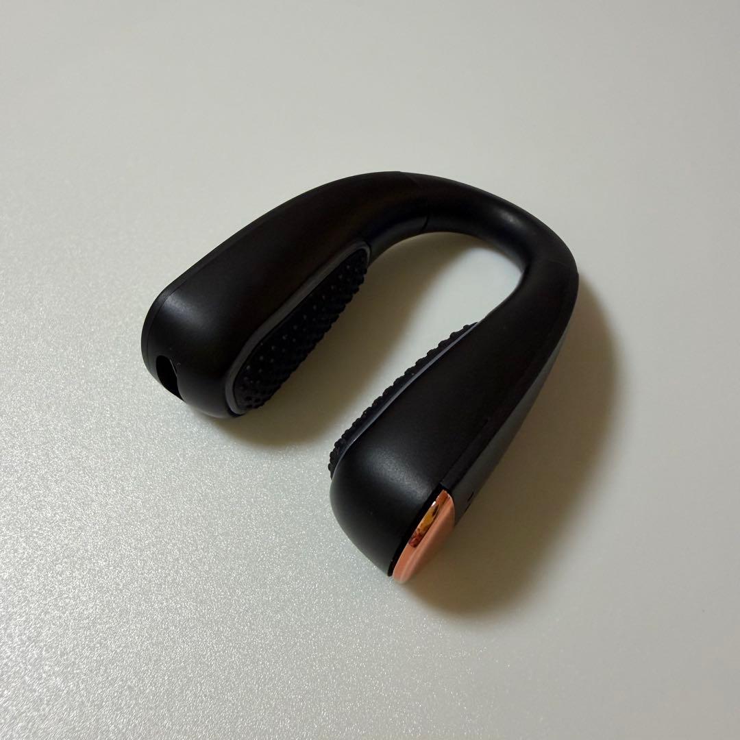 NIPLUX QNose 鼻　EMS