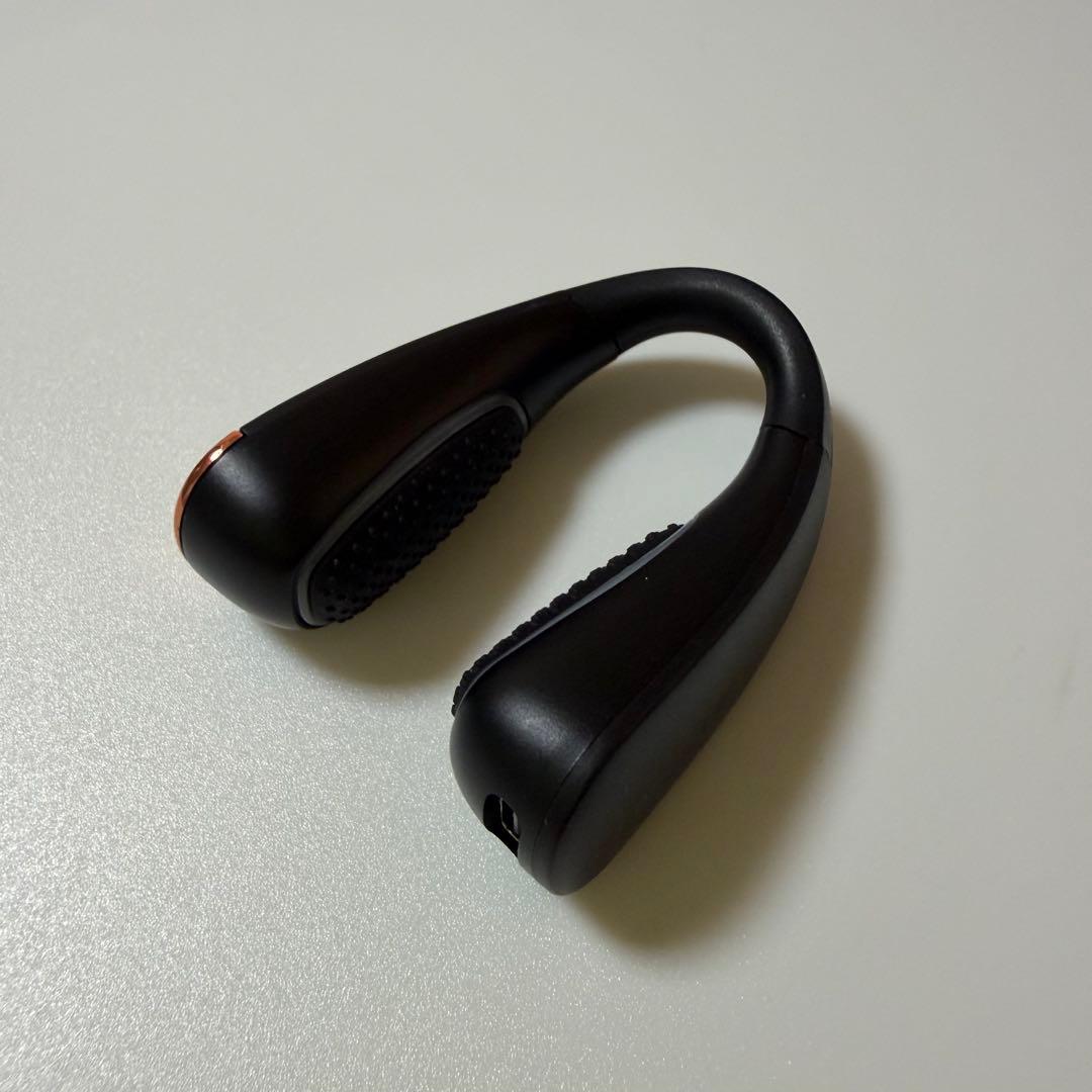 NIPLUX QNose 鼻　EMS