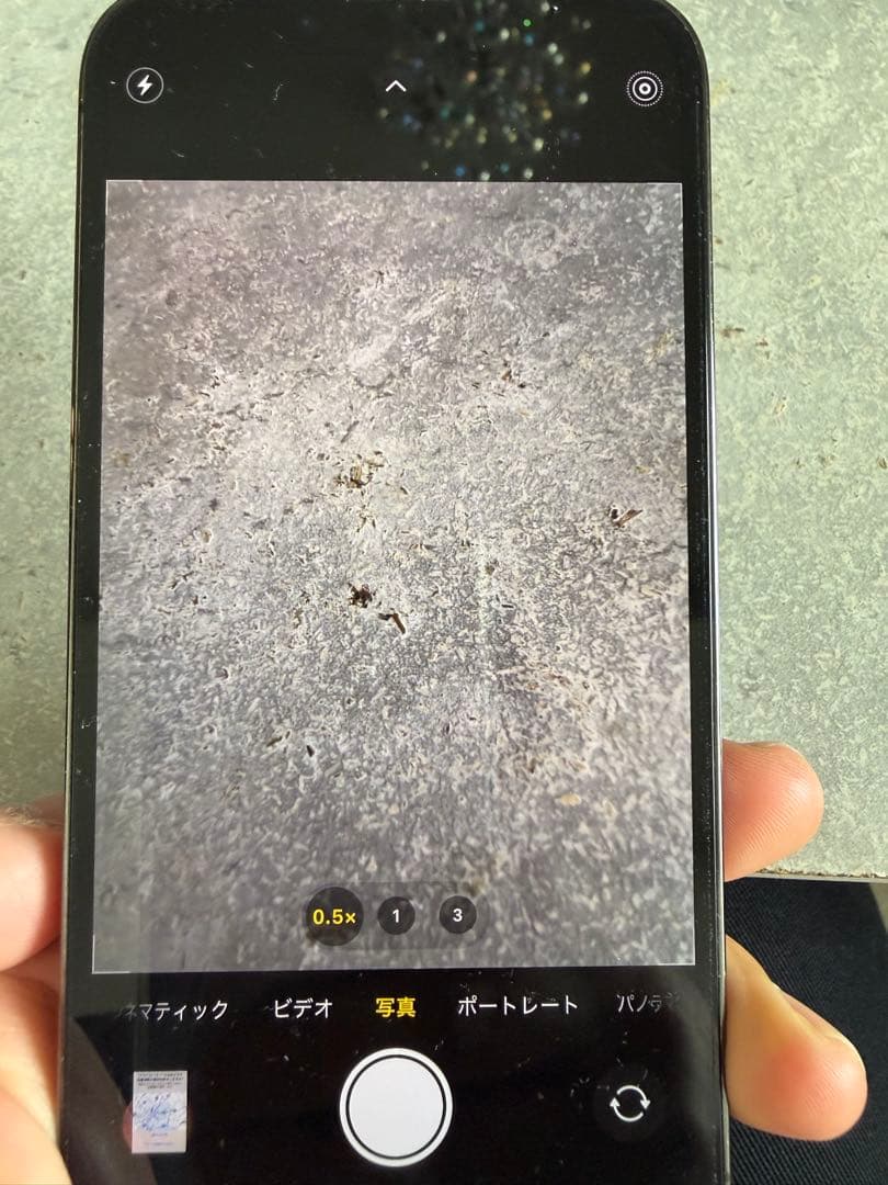 【訳あり】iPhone 13 Pro グラファイト256GB SIMフリー 本体