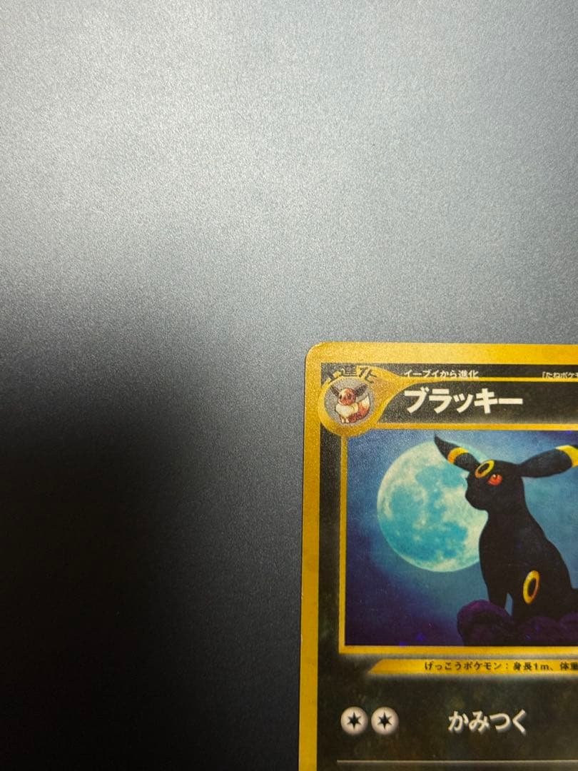 美品　旧裏　　ブラッキー　ポケモンカード