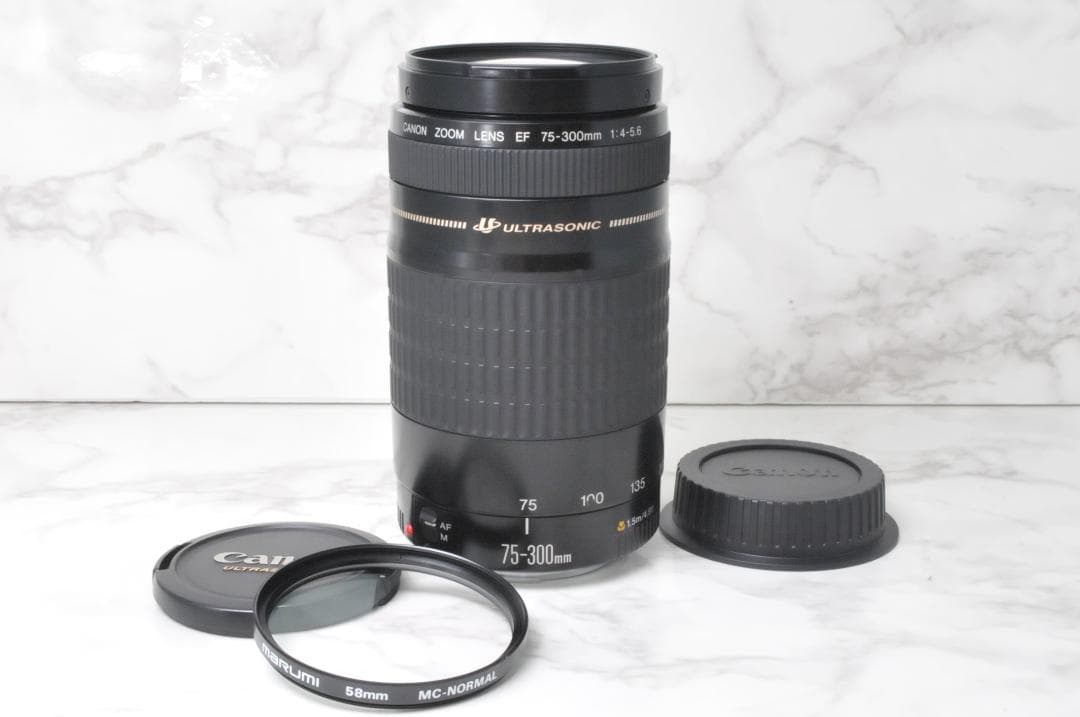 Canon EF 75-300mm F4-5.6 USM⭐️望遠レンズ イベント