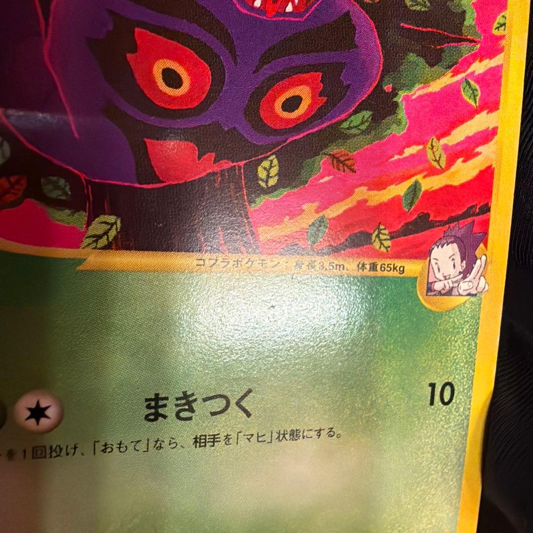 vs アンズのアーボック（Arbok）　062/141 1ED