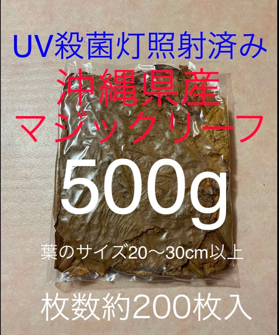 【(必´∀`)根腐れ@プロフ( ´δ`読)さん専用】マジックリーフ500g